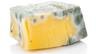 Por qué recomiendan que tires el queso entero si solo una parte tiene moho<em></em>